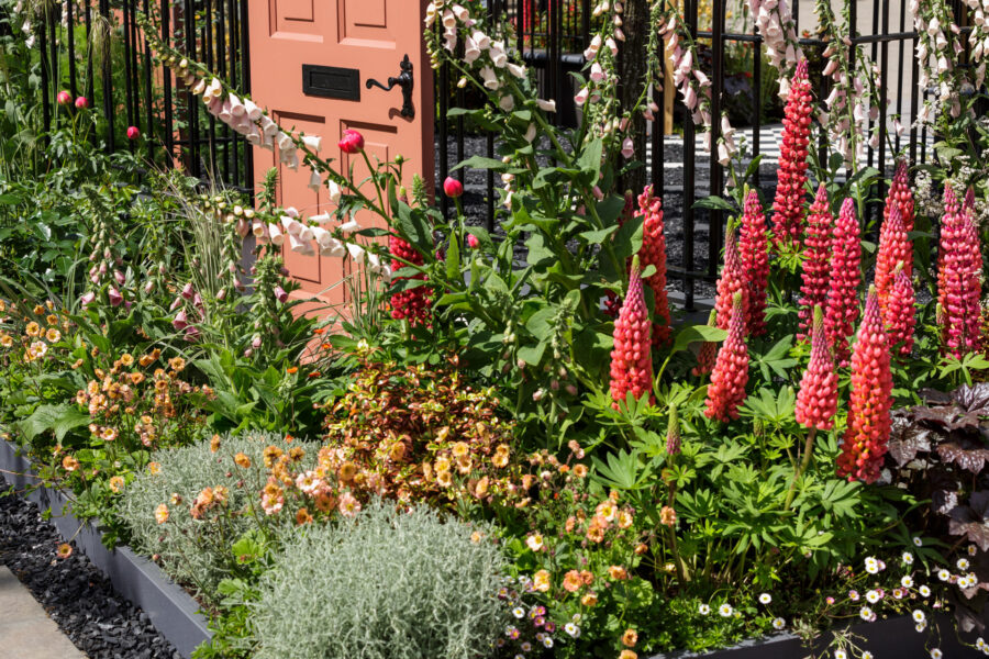 5 ways to rejuvenate your garden after winter