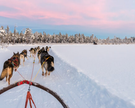 Take a trip to Lapland this Christmas