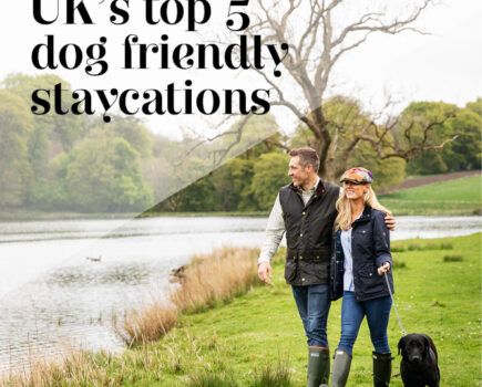 Top 5 UK dog-friendly staycations