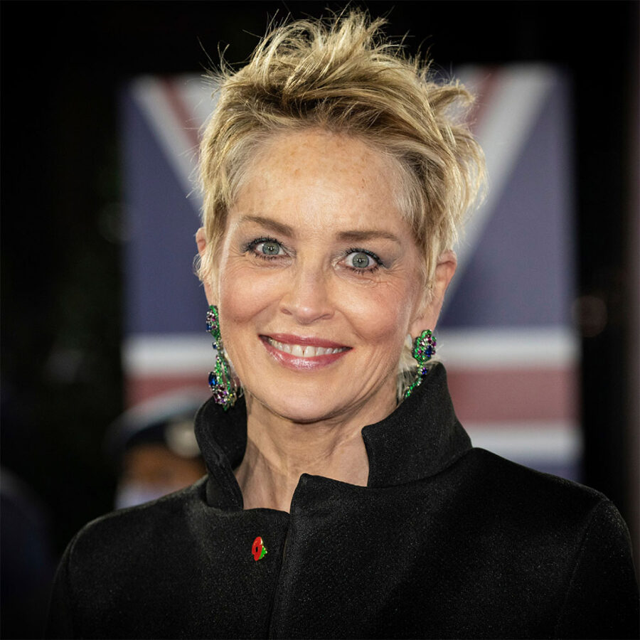 Sharon Stone Returns for the Pride of Britain Awards
