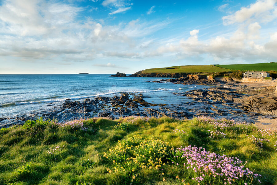 Britain’s finest foraging holidays
